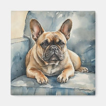 Franse Bulldog
