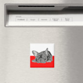 Franse Bulldog Magneet (Insitu (Vaatwasser))