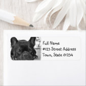 Franse Bulldog Mailing Label (Insitu)