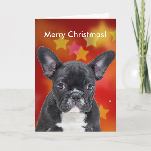 Franse Bulldog Merry Christmas Stars Kaart (Voorkant)