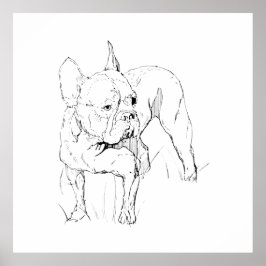 Franse Bulldog - met de hand getekende hondenillus Poster