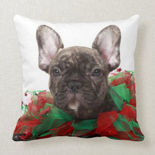 Franse bulldog met kerstmangel kussen