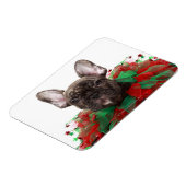 Franse bulldog met kerstmangel magneet (Linkerzijde)