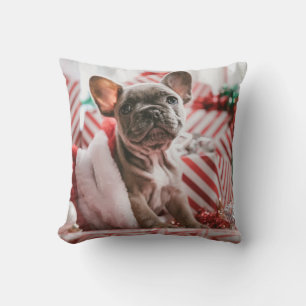 Franse Bulldog met kerstPet Kussen
