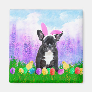 Franse Bulldog met paaseieren Bunny Chicks Magneet