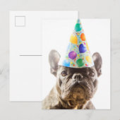 Franse Bulldog met Party Pet Briefkaart (Voorkant / Achterkant)