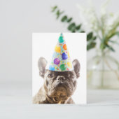 Franse Bulldog met Party Pet Briefkaart (Staand voorkant)
