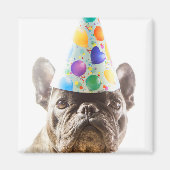 Franse Bulldog met Party Pet Magneet (Voorkant)