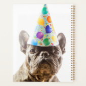 Franse Bulldog met Party Pet Planner (Achterkant)