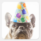Franse Bulldog met Party Pet Vierkante Sticker (Voorkant)