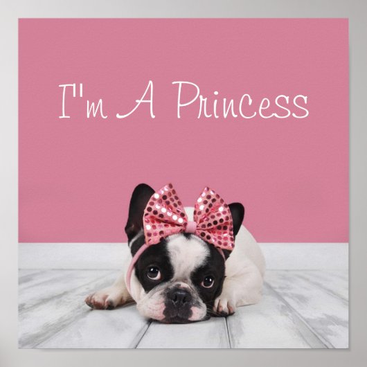 Franse Bulldog met roze Poster (Voorkant)