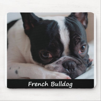 Franse Bulldog Muismat