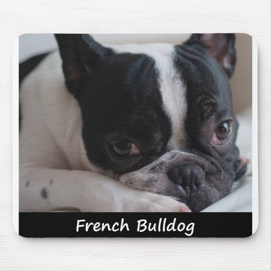 Franse Bulldog Muismat (Voorkant)