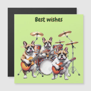 Franse Bulldog Muziekband Franse Bulldoggen