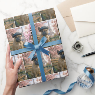 Franse Bulldog Op Een Parkbank In Parijs Cadeaupapier