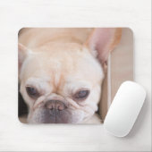 Franse bulldog op sofa muismat (Met muis)