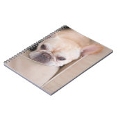 Franse bulldog op sofa notitieboek (Linkerzijde)