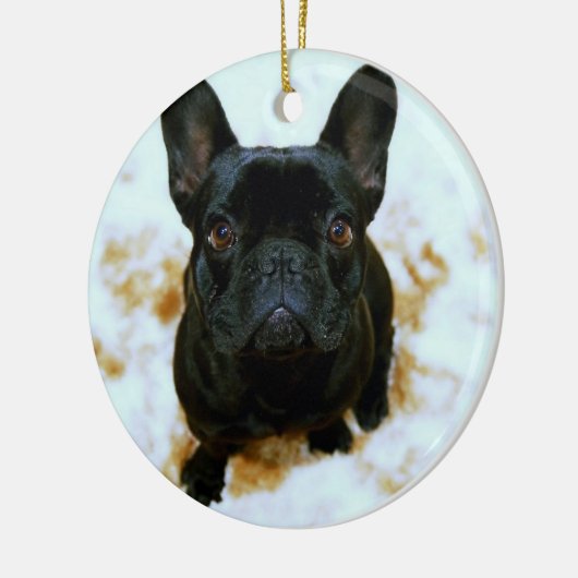 Franse Bulldog Ornament Met Jouw Foto (Links)