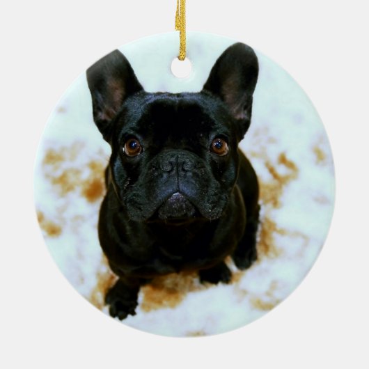 Franse Bulldog Ornament Met Jouw Foto (Achterkant)