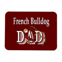Franse Bulldog Pap
