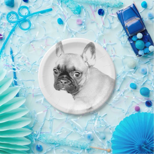 Franse Bulldog Papieren Bordje (Feest)
