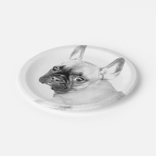 Franse Bulldog Papieren Bordje (Gekanteld)