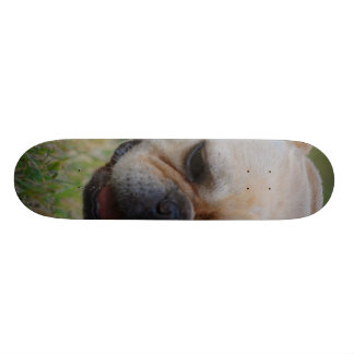 Franse Bulldog Persoonlijk Skateboard