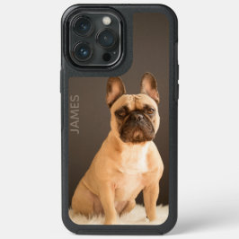 Franse Bulldog Persoonlijke naam | Hond