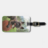 Franse Bulldog Plaats uw eigen foto Bagagelabel (Voorkant horizontaal)