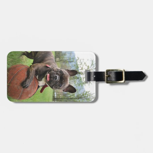 Franse Bulldog Plaats uw eigen foto Bagagelabel (Voorkant horizontaal)