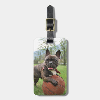 Franse Bulldog Plaats uw eigen foto Bagagelabel
