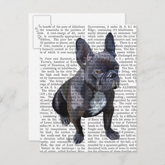 Franse Bulldog Plain Briefkaart (Voorkant / Achterkant)