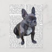Franse Bulldog Plain Briefkaart (Voorkant)