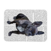 Franse Bulldog Plain Magneet (Horizontaal)