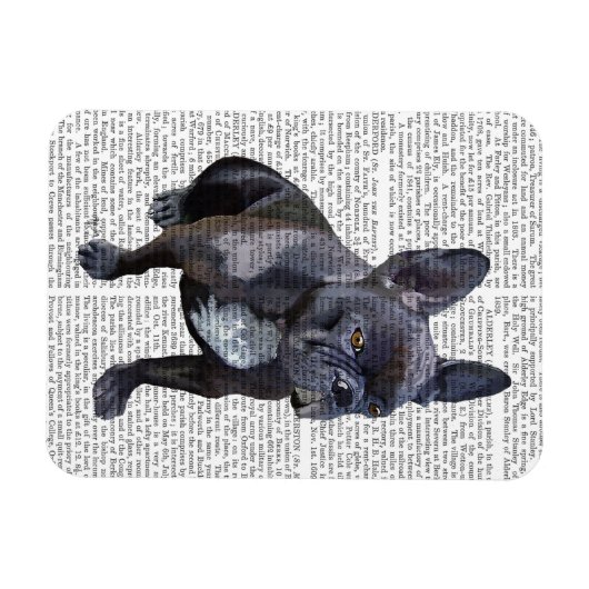 Franse Bulldog Plain Magneet (Horizontaal)