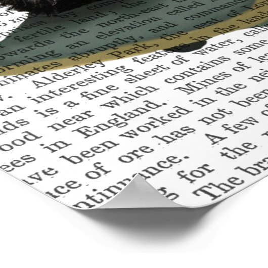 Franse Bulldog Plain Poster (Hoek)