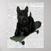 Franse Bulldog Plain Poster (Voorkant)