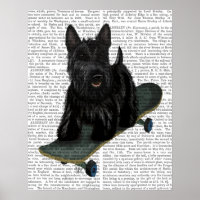 Franse Bulldog Plain