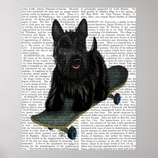 Franse Bulldog Plain Poster (Voorkant)