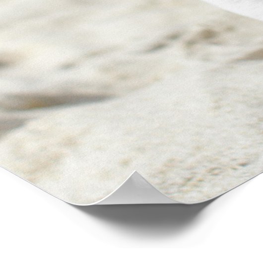 franse bulldog poster (Hoek)