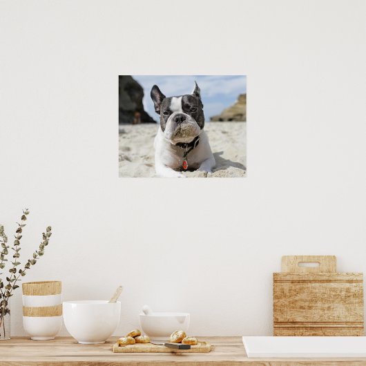 franse bulldog poster (Keuken)