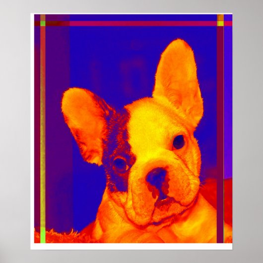 franse bulldog poster (Voorkant)