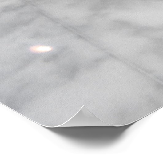 Franse bulldog poster (Hoek)