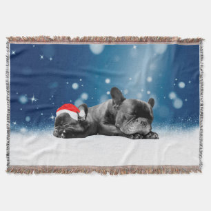 Franse Bulldog Puppies Sleeping Snow Stars Wit Deken