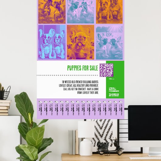 Franse Bulldog Puppies te koop groot poster (Thuiskantoor)