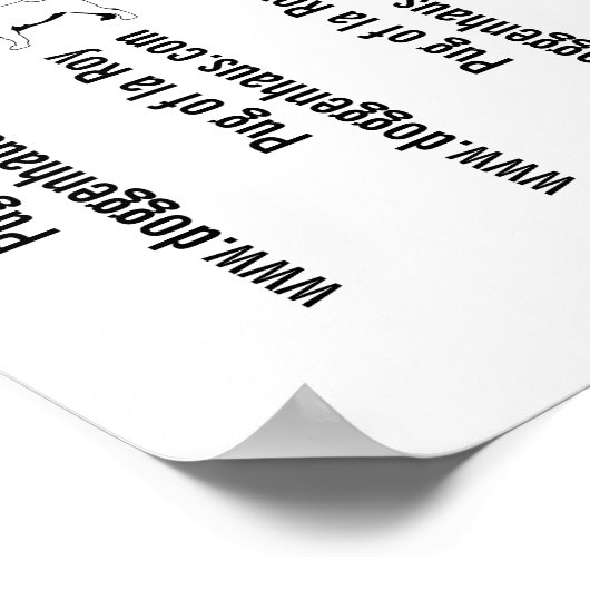 Franse Bulldog Puppies te koop groot poster (Hoek)