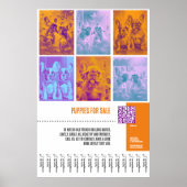 Franse Bulldog Puppies te koop groot poster (Voorkant)