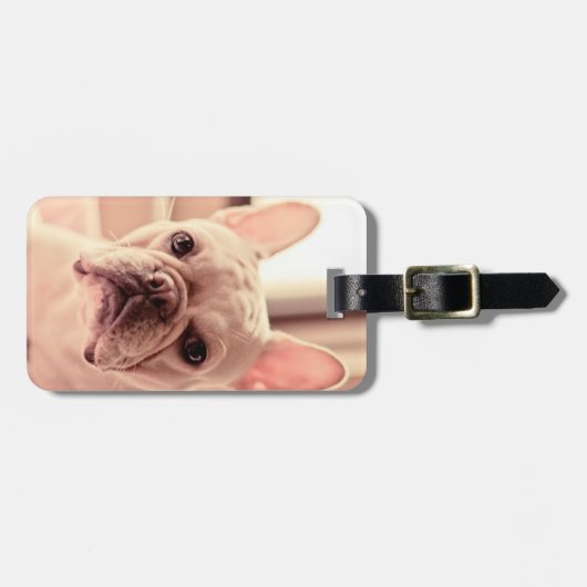 Franse bulldog Puppy Bagagelabel (Voorkant horizontaal)