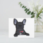 Franse bulldog Puppy Briefkaart (Staand voorkant)