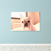 Franse bulldog Puppy Canvas Afdruk (Insitu (Houten vloer))